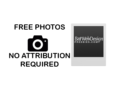 Free Photo Websites With No Attribution Required