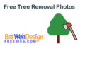 Free Photos Of Tree Removal With No Attribution Required