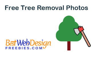 Free Photos Of Tree Removal With No Attribution Required